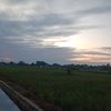 scoopy_old110