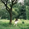 chuli200623