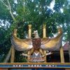 osinajah8