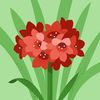 heba.ahmed9795