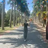 bn.hng.vt
