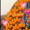 user5416512915281