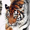 tigeranimati0n