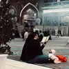 zmzm_17h