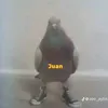 patrick.armanca0