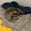 timmy61138