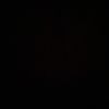 bojana.jungic5