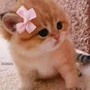 nena.hayag