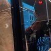 feryal_920