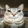 kojin1_6