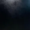 ahlam64713