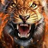 fager.nabeel