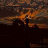 mahmoud.deyaa7