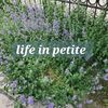 lifeinpetite