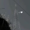_19sanchez_507