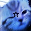 starry.ns1