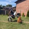 vitaliy185