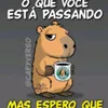 joo.calixto59