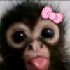 _s5oo6