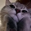 teterya_t
