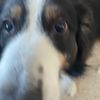jake07270