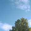 zoe_11_14