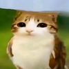 myaccgotbanned.random