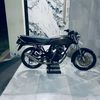 artpratm_