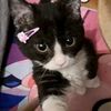 yuddy942