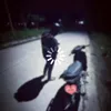 hihaf27