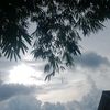 thaa__0813