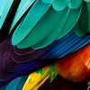 subky.tahir8