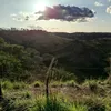 joelsantos5578