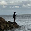 qld_fisho4183