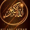 ameerafzal371
