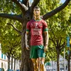 cr7403377