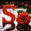 shahid.hussain4427