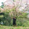 byarthar25