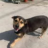 nhancachkhaccuakhanhthi_