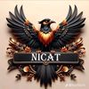s2g.nicat