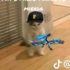 alexinsano20