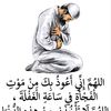 user69651516616248