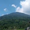 dewlandll04
