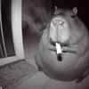igorgandzhubas49