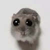 ttfog0