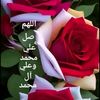 user29721650810591