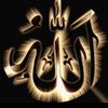saddam.hussain1788