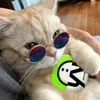 dwane_cc
