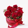 sofie.ahmed7