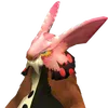 what_is_it_coobie